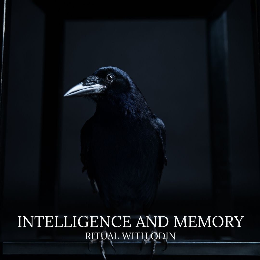 Intelligence and Memory Ritual with Odin